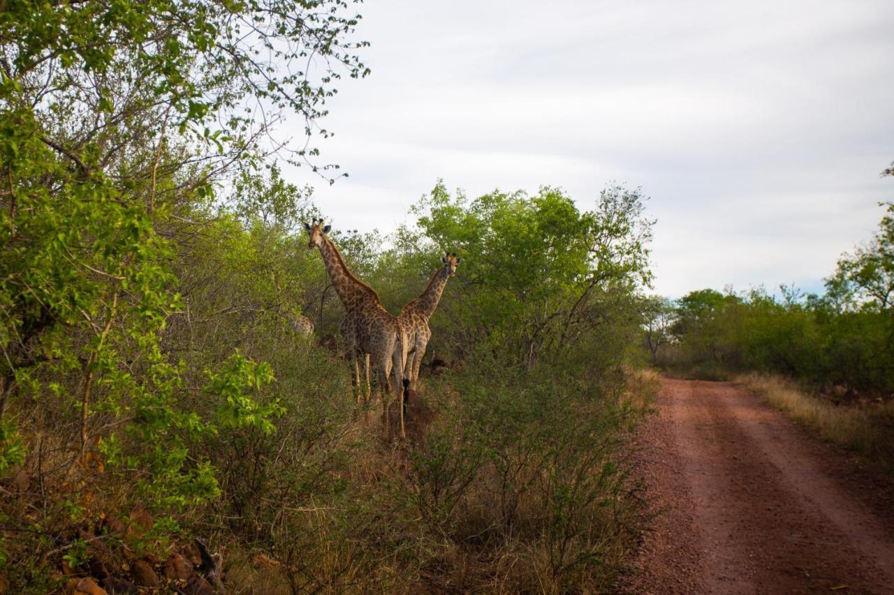 Nungu Game Lodge Lephalale Exterior foto
